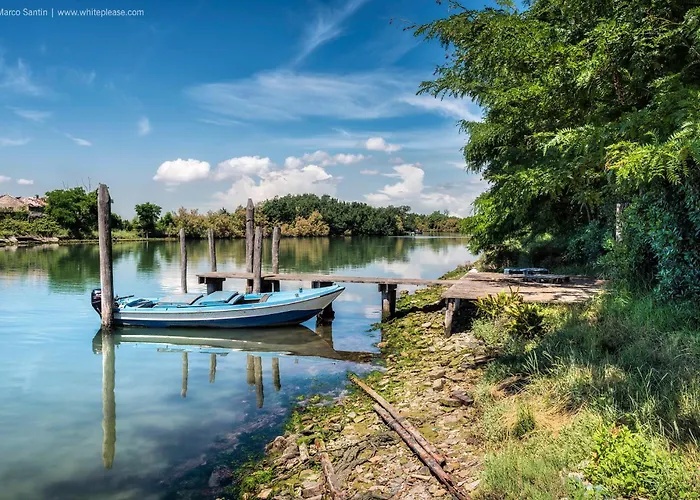 Pines House - Host Solution