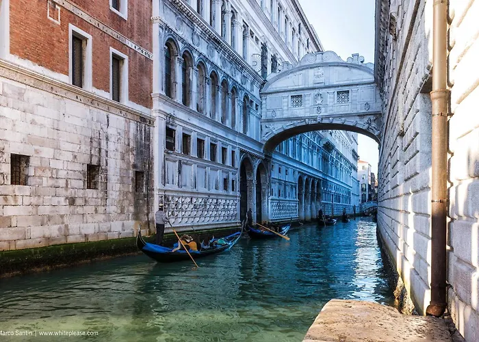 Pines House - Host Solution 利多迪迪耶索洛