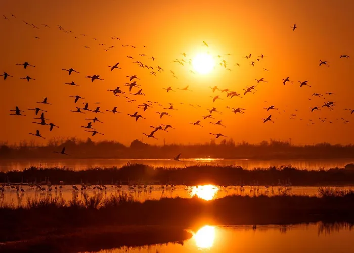 Pines House - Host Solution Apartmán Lido di Jesolo