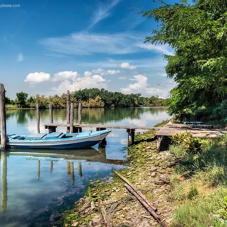 Pines House - Host Solution