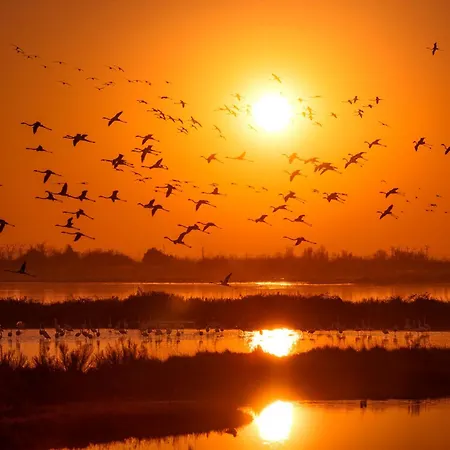 Pines House - Host Solution Apartament Lido di Jesolo